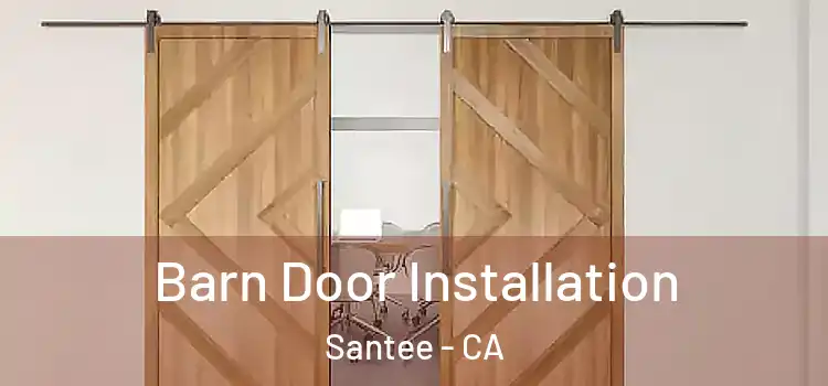  Barn Door Installation Santee - CA