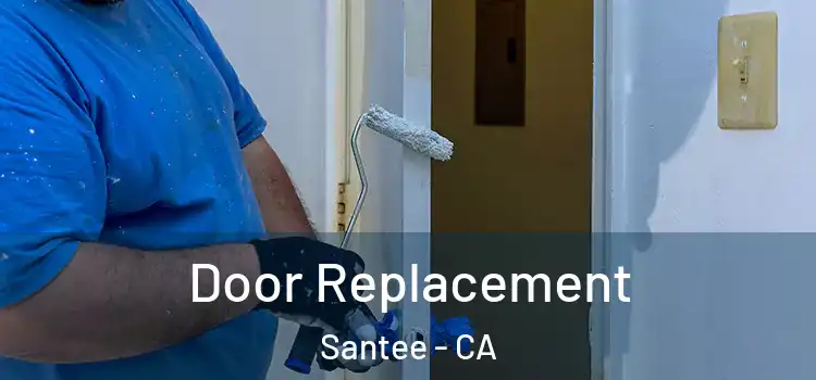 Door Replacement Santee - CA