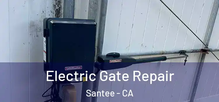Electric Gate Repair Santee - CA