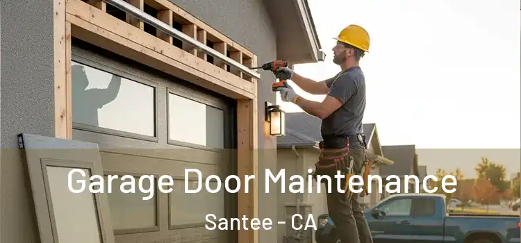 Garage Door Maintenance Santee - CA