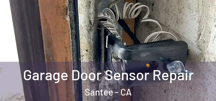 Garage Door Sensor Repair Santee - CA