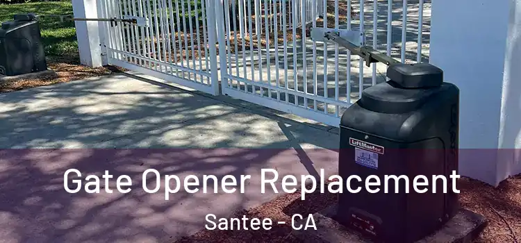 Gate Opener Replacement Santee - CA