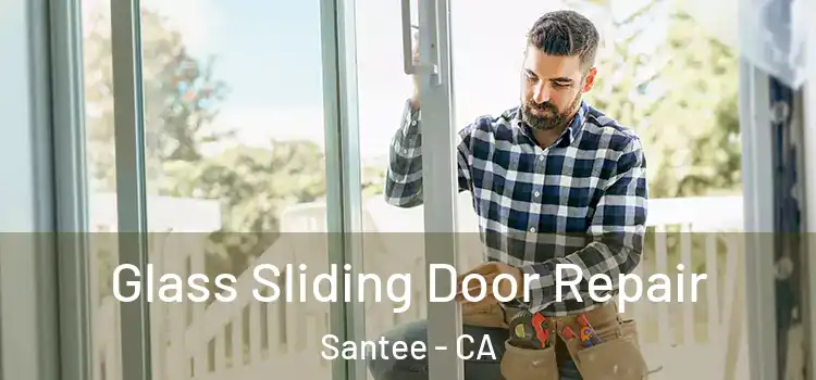  Glass Sliding Door Repair Santee - CA