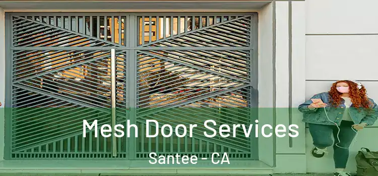 Mesh Door Services Santee - CA